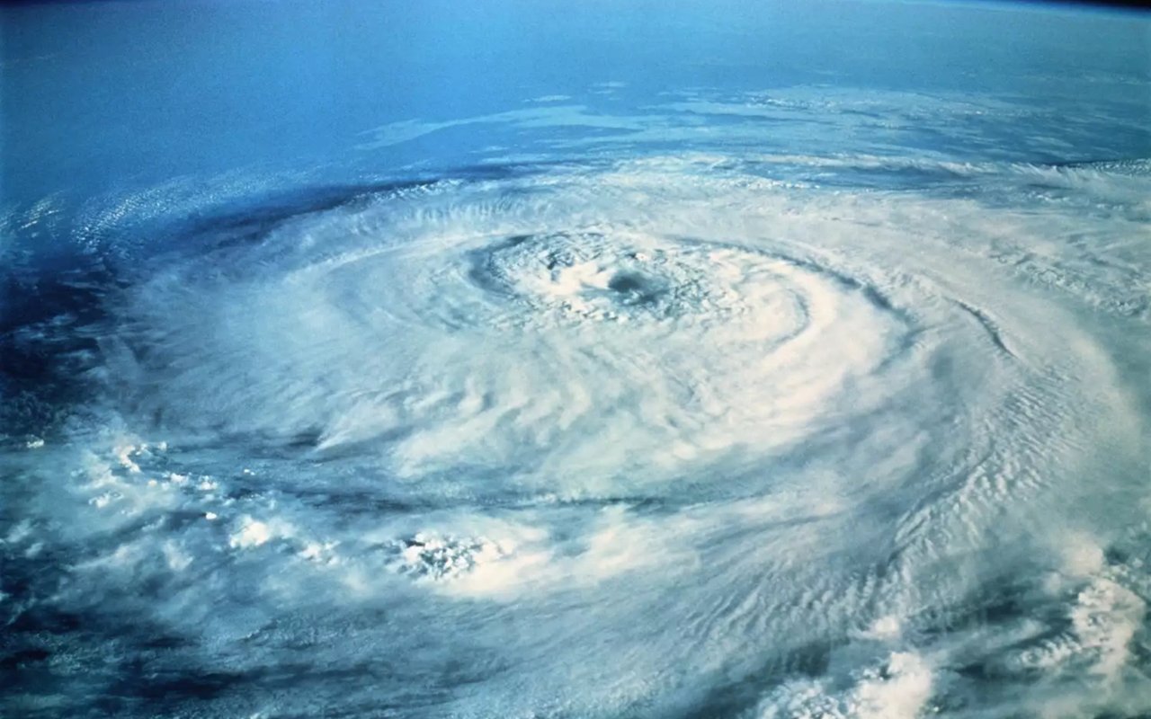 San Carlos Buyers: This is a Must-Read