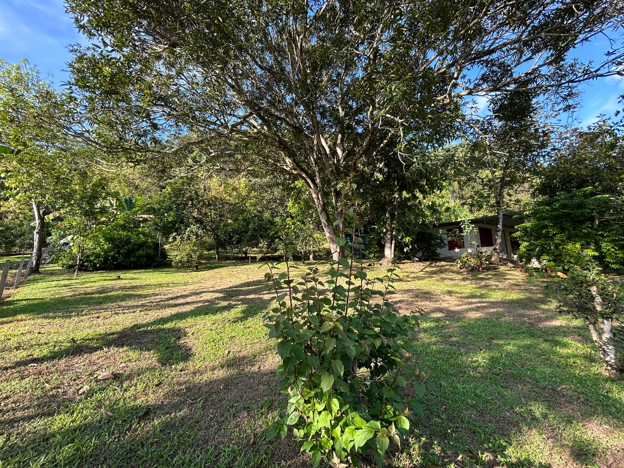 Commercial & Residential Property in Punta Mala with Producing Fruit Trees