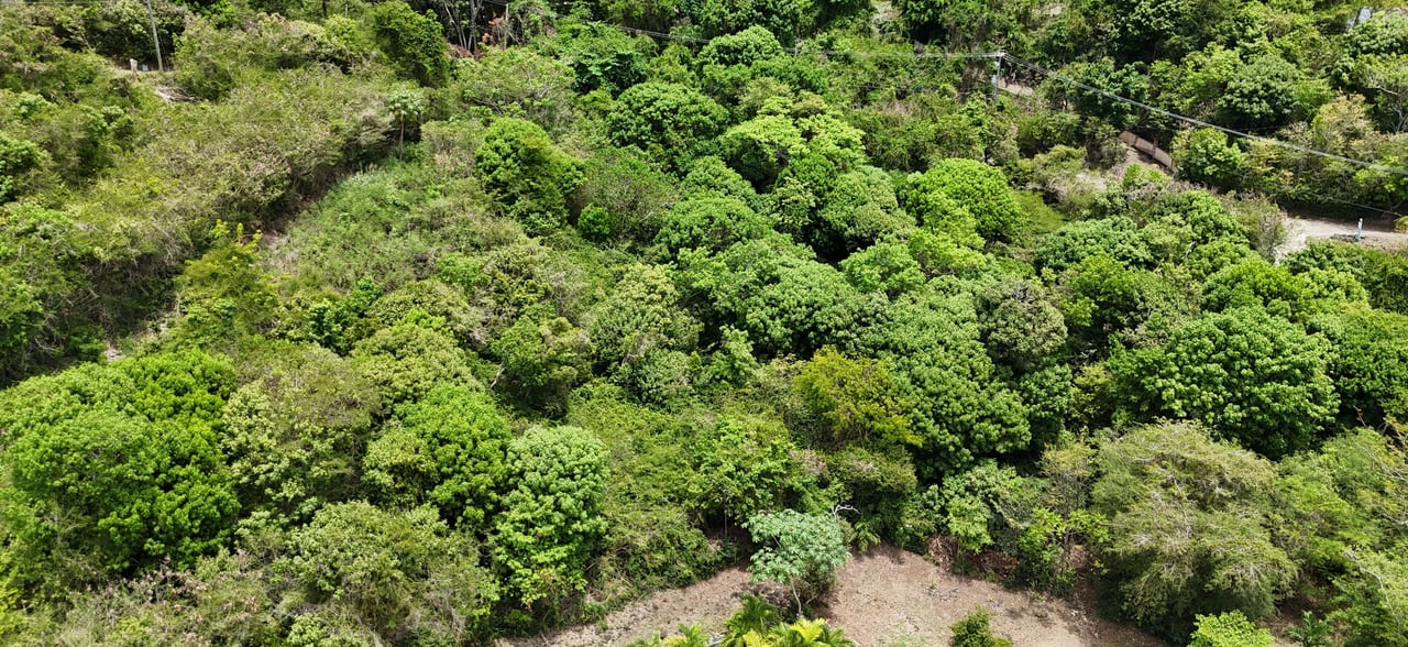 Belmont Estate 403 & 404