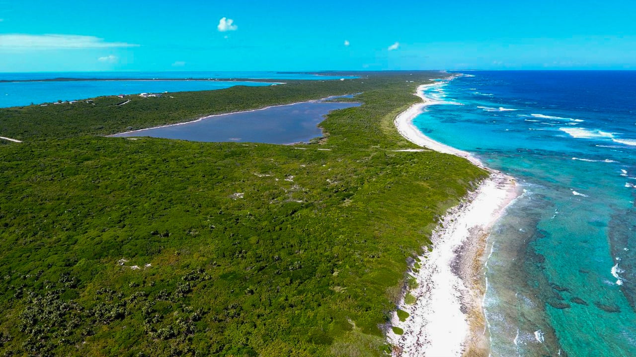 Salt Pond Long Island