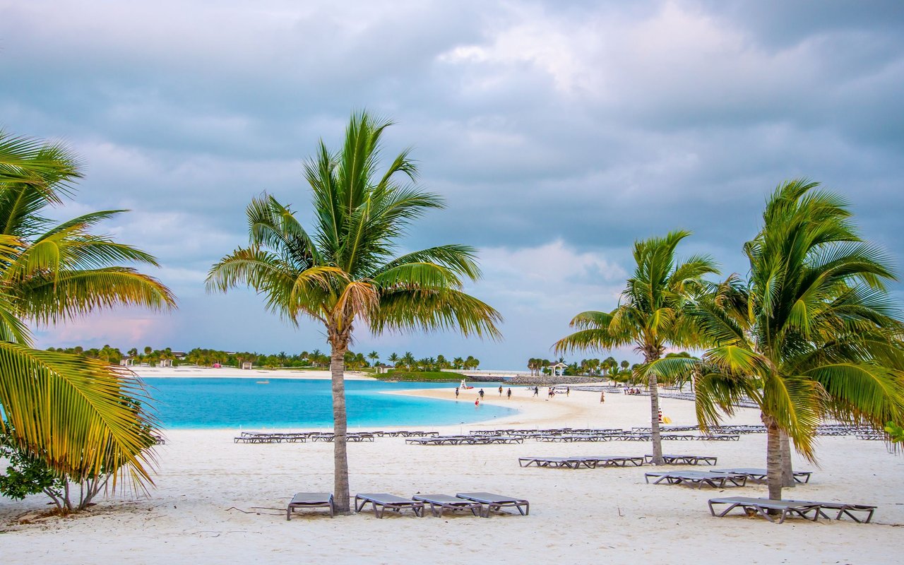 Palm Cay