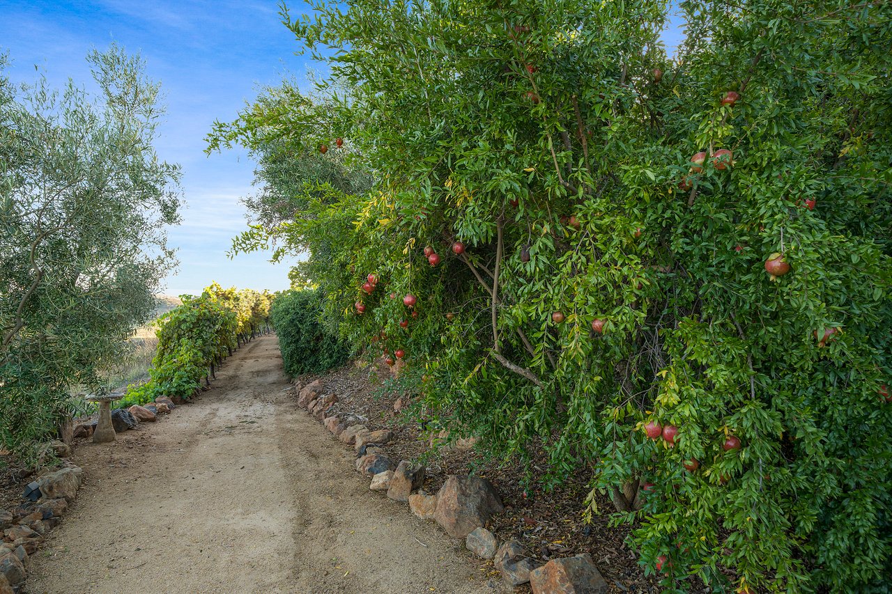 41005 Valle Vista