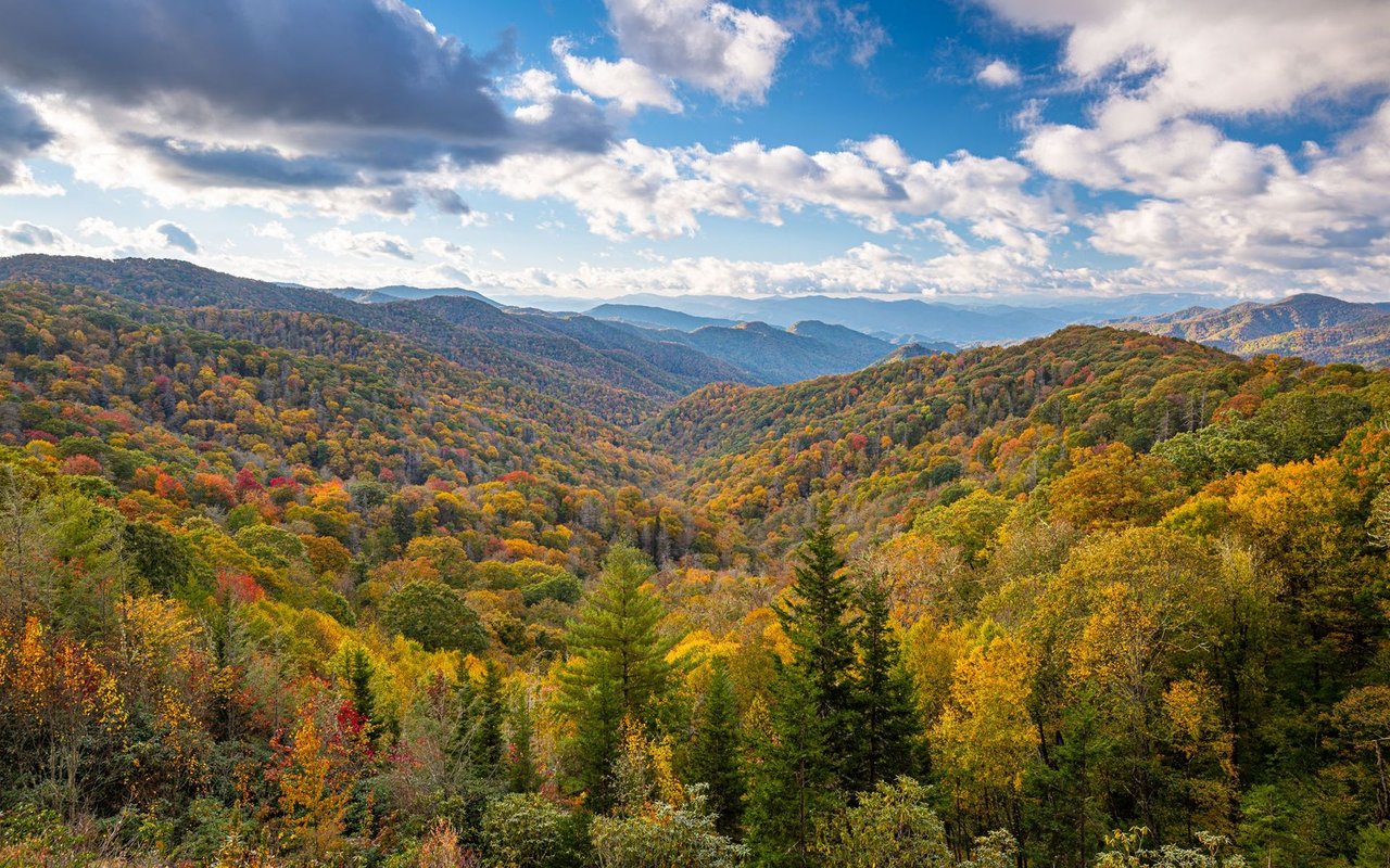The Great Smoky Mountains