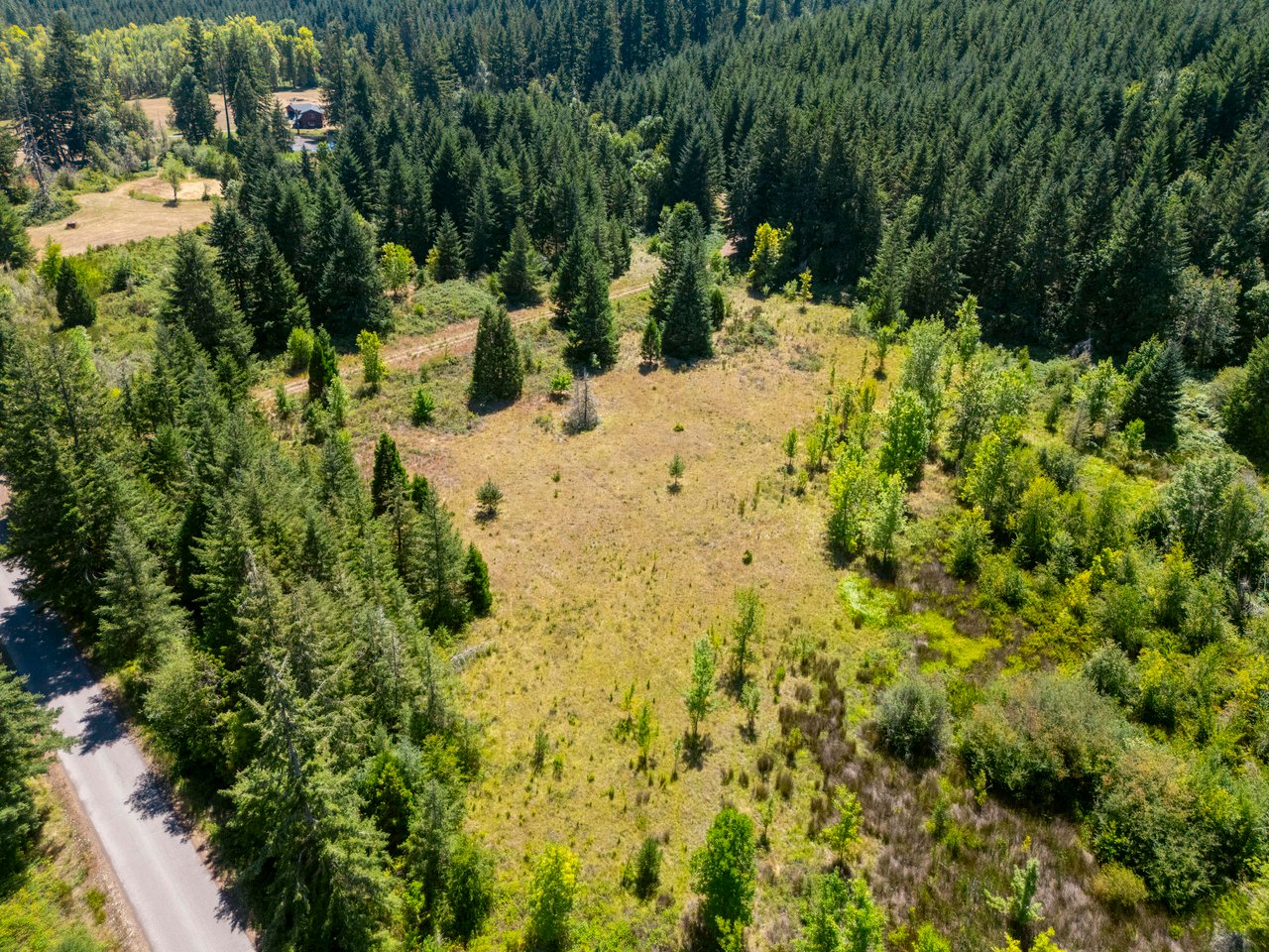 Coast Fork Woodland Meadows