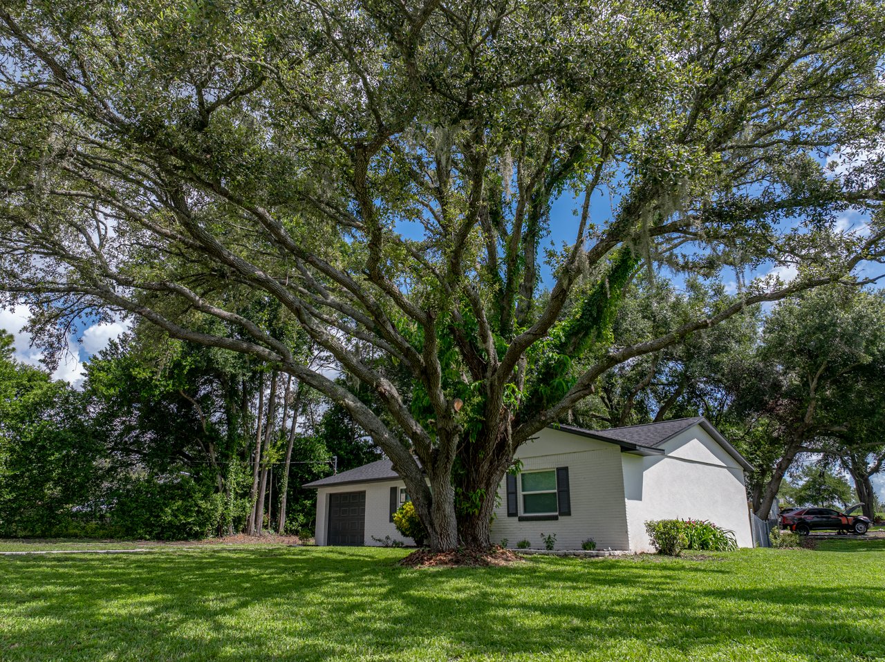 34819 Hibiscus Drive