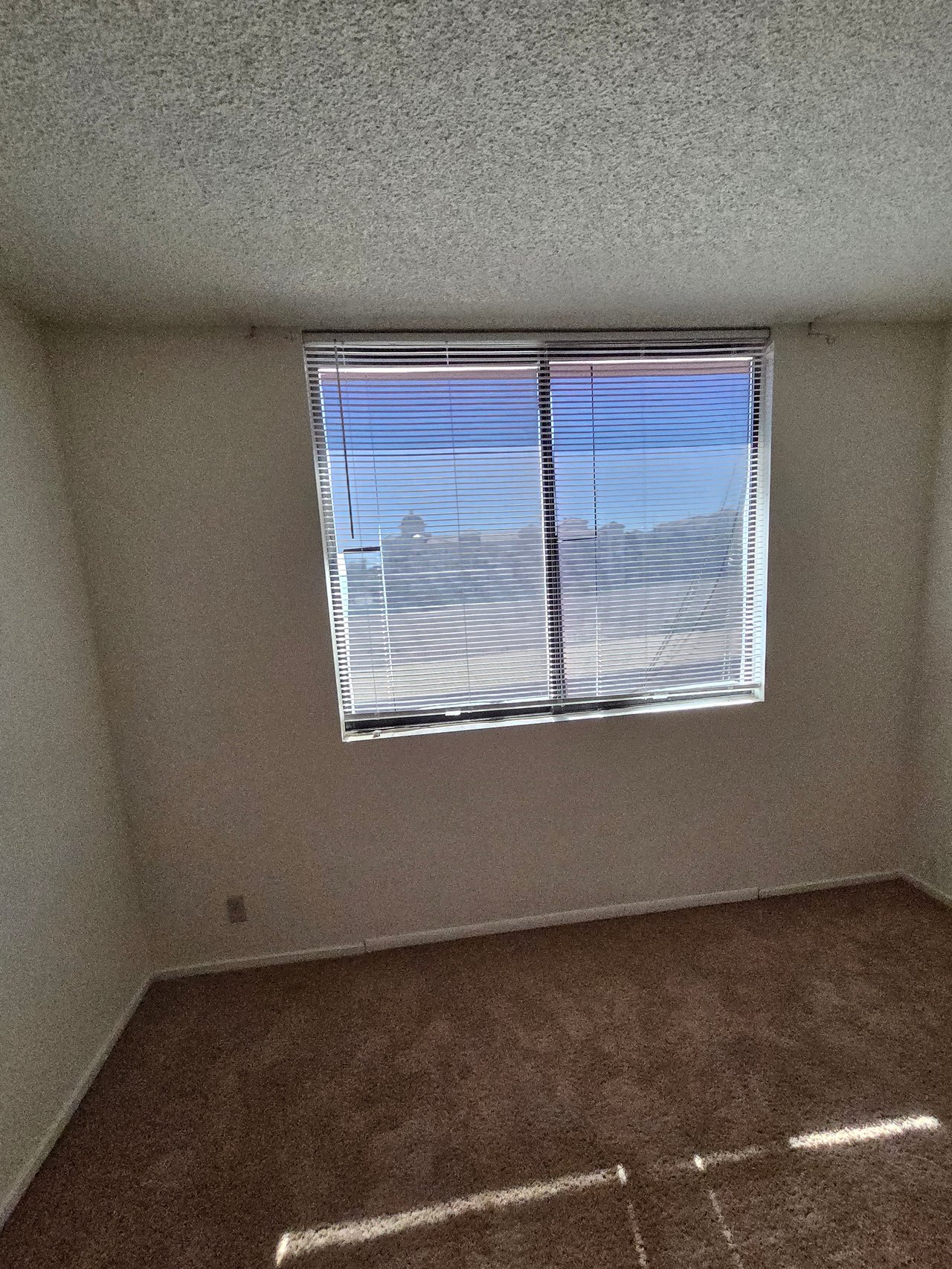 3930 University Center Drive #204