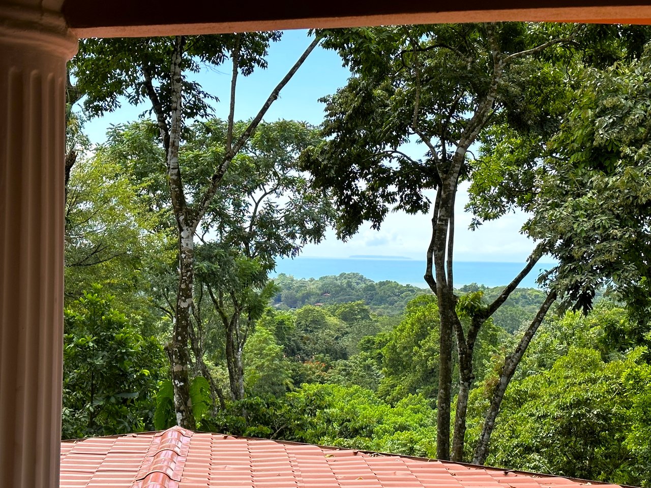 FIRE SALE! Jungle, Rivers, a Waterfall and Panoramic Ocean View