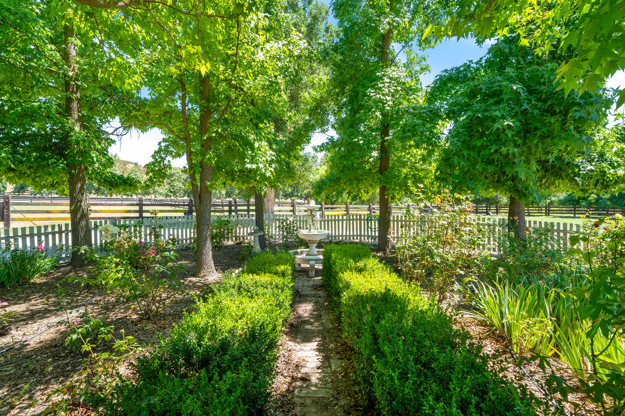 37797 Calle De Lobo