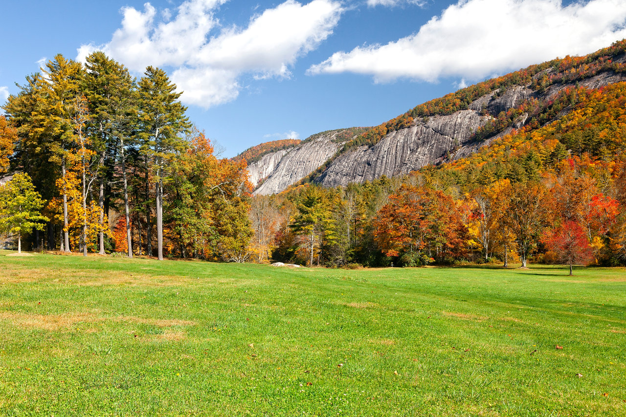 Granite cliff face above an open meadow in Sapphire NC during fall color