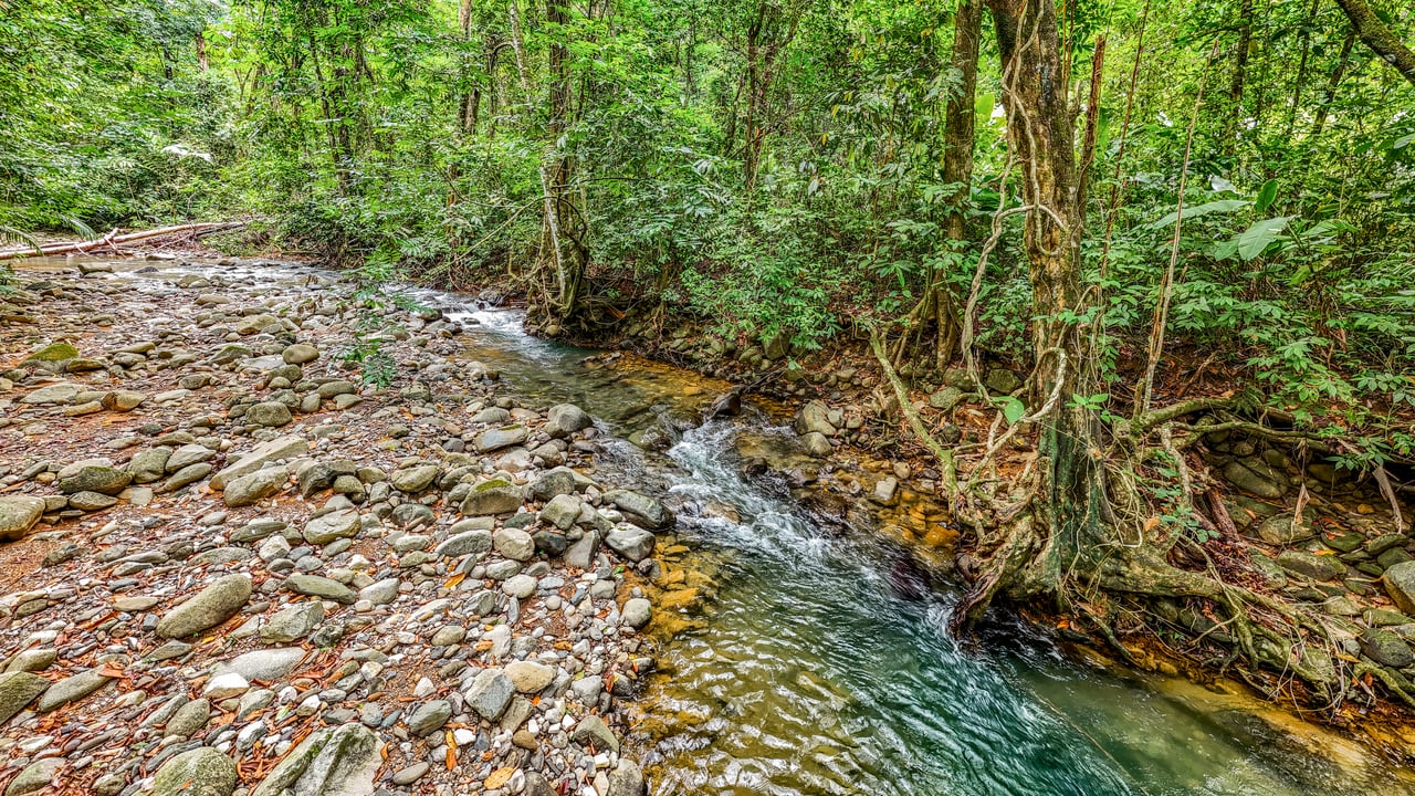 Modern 3-Bed Jungle Home with River and Pool in Cinco Ventanas Ojochal