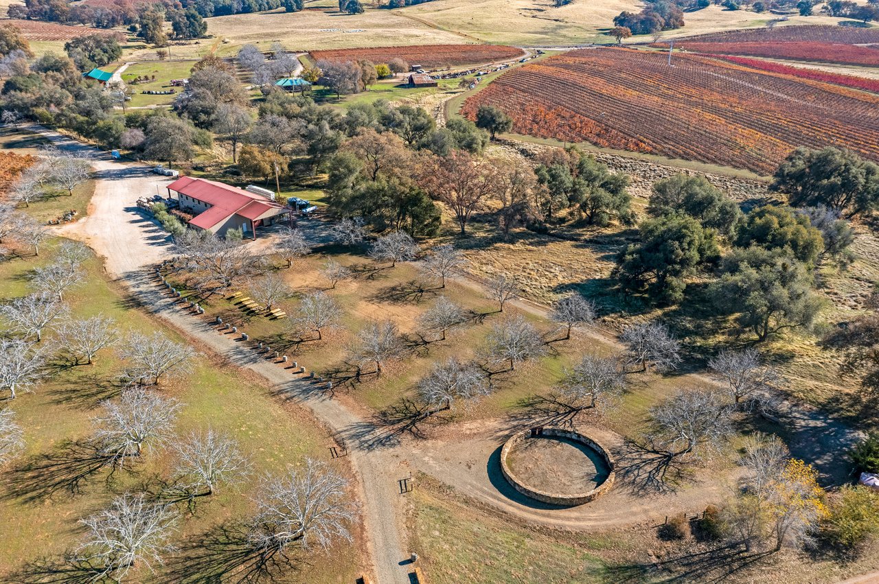 Cooper Vineyards - Barbera's Legacy Continues In the Heart of Shenandoah Valley