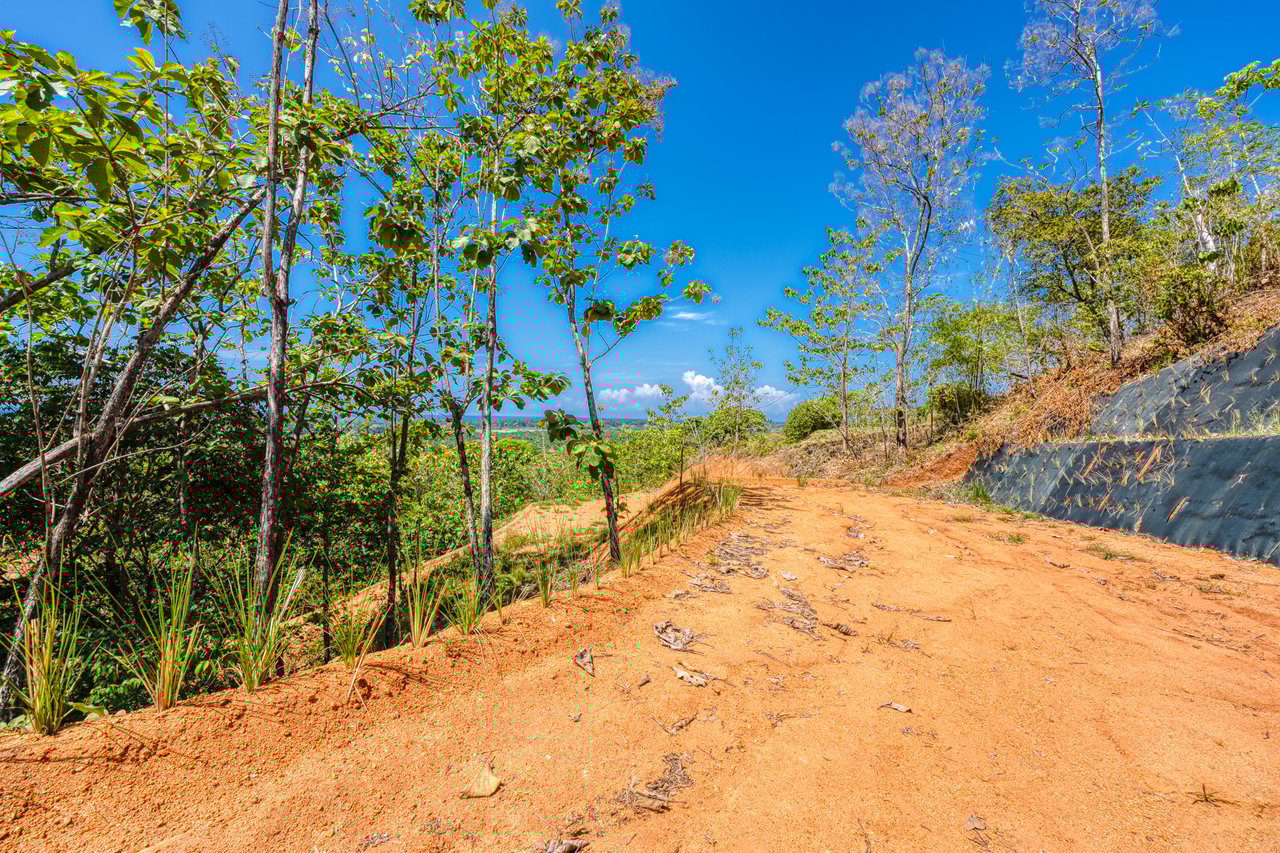 ¡New Gated Development in Matapalo - Ocean View and Flat Land, ready to build!