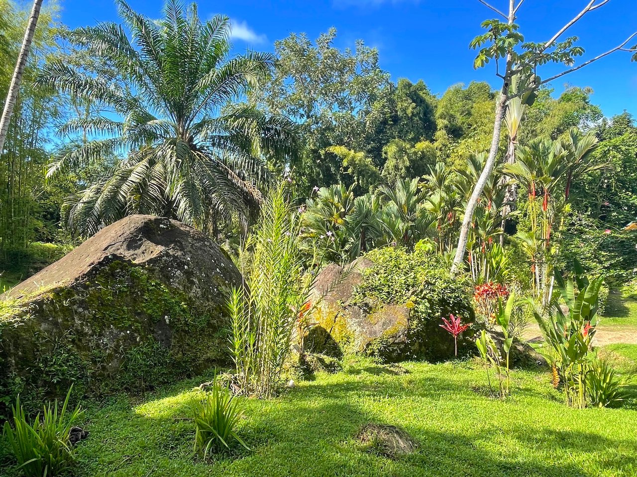 CASA TRANQUILA IN LAGUNAS – HOME, GUEST SUITE, SALON, AND GARAGE WITH WORKSHOP