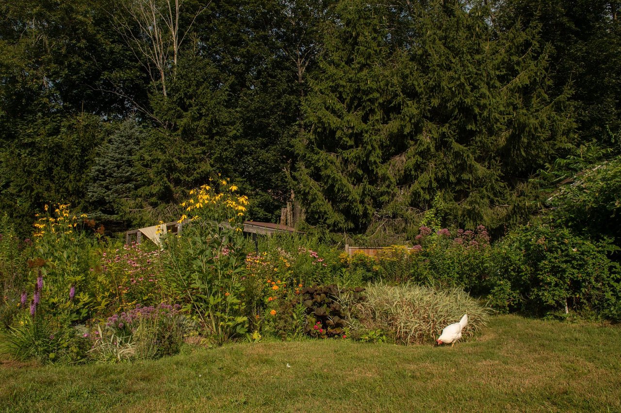 289 Tunnel Hill, Canaan