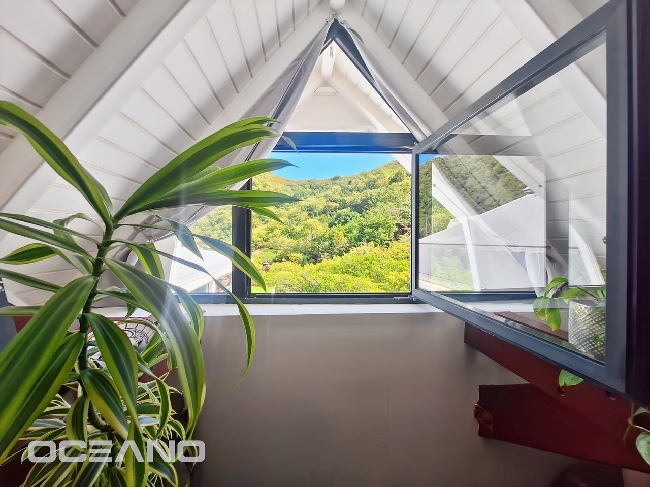 2 bedrooms apartment - Anse Marcel