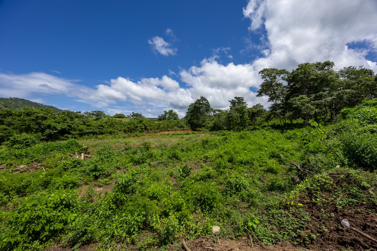 Lot Norte – Potrero | 5,000 m² Flat Build-Ready Lot Near the Beach