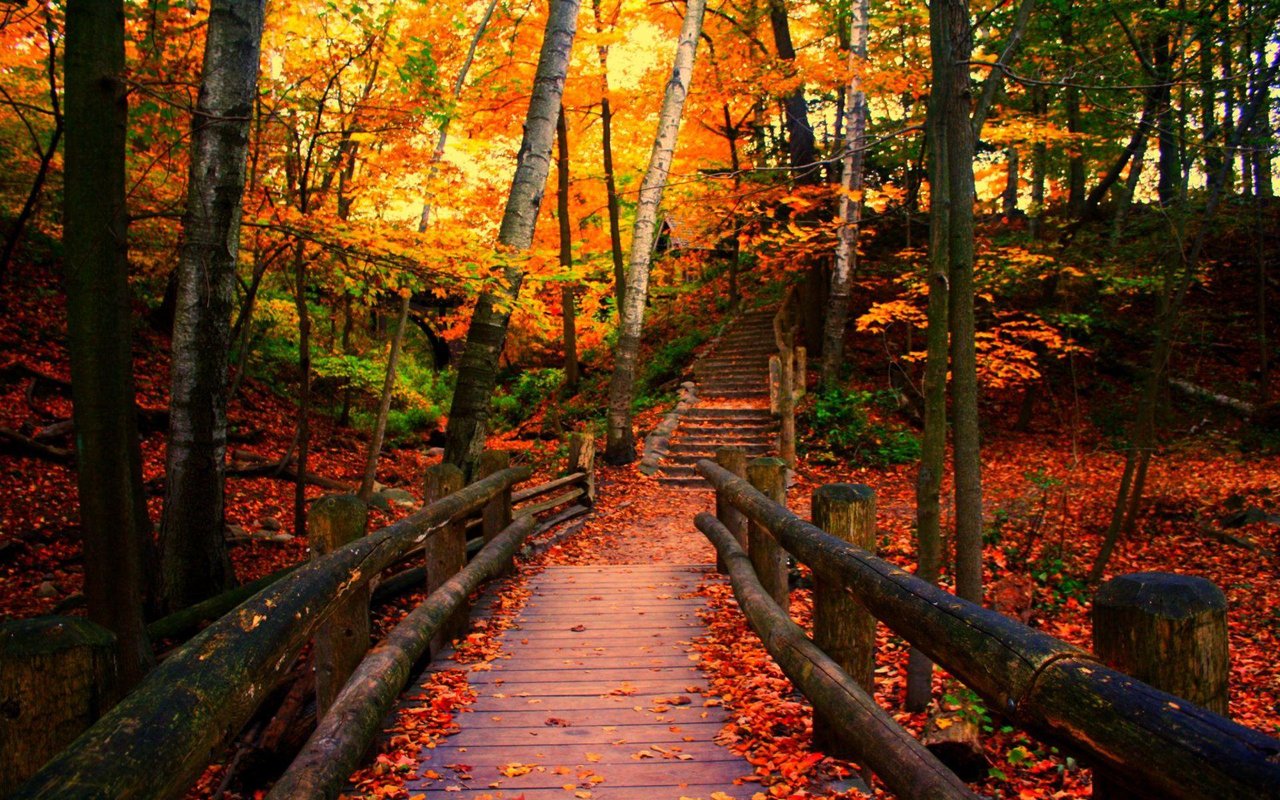 Autumn in Wisco