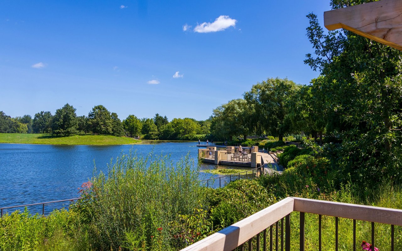 Wonder Lake