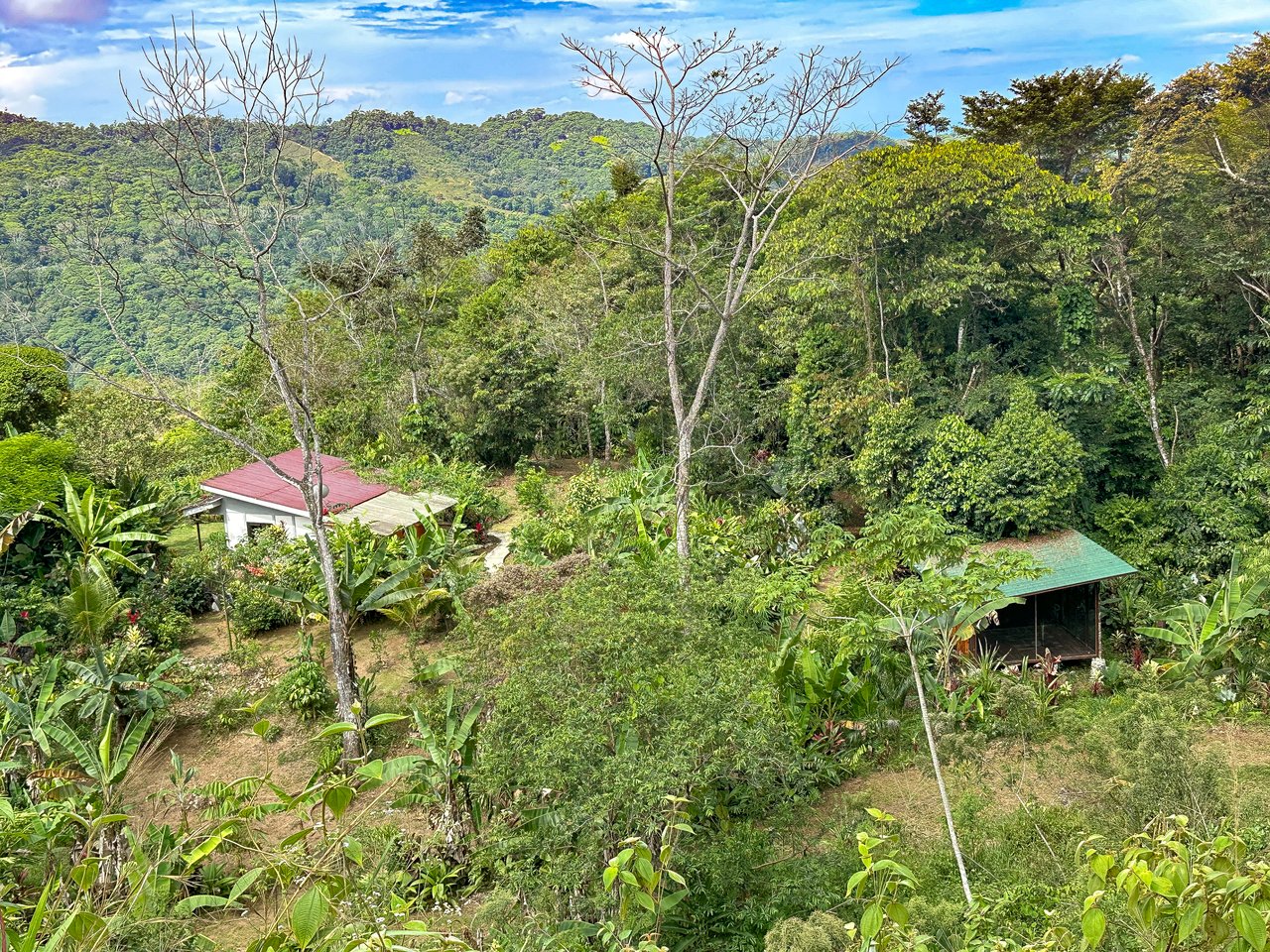 Tinamastes Costa Rica Property with Home, Yoga Deck & Land