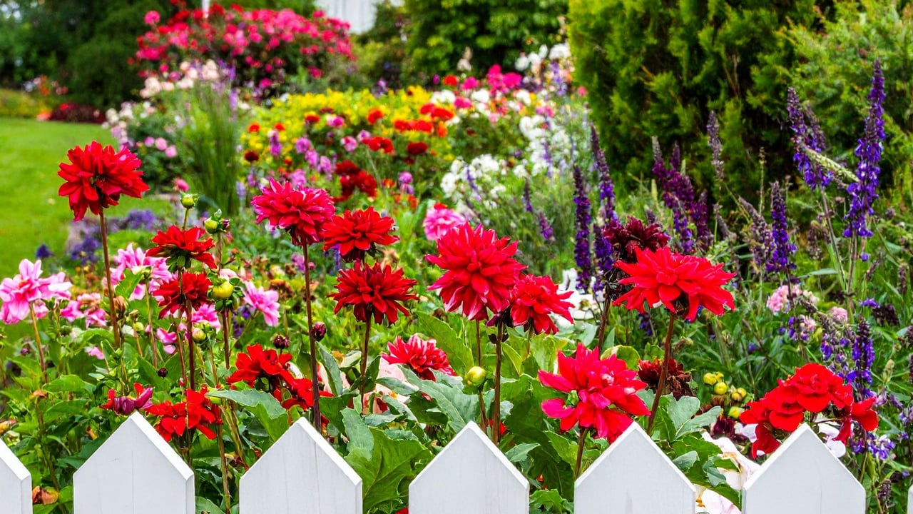 Essential Spring Home Maintenance Tips for Napa Valley Homeowners