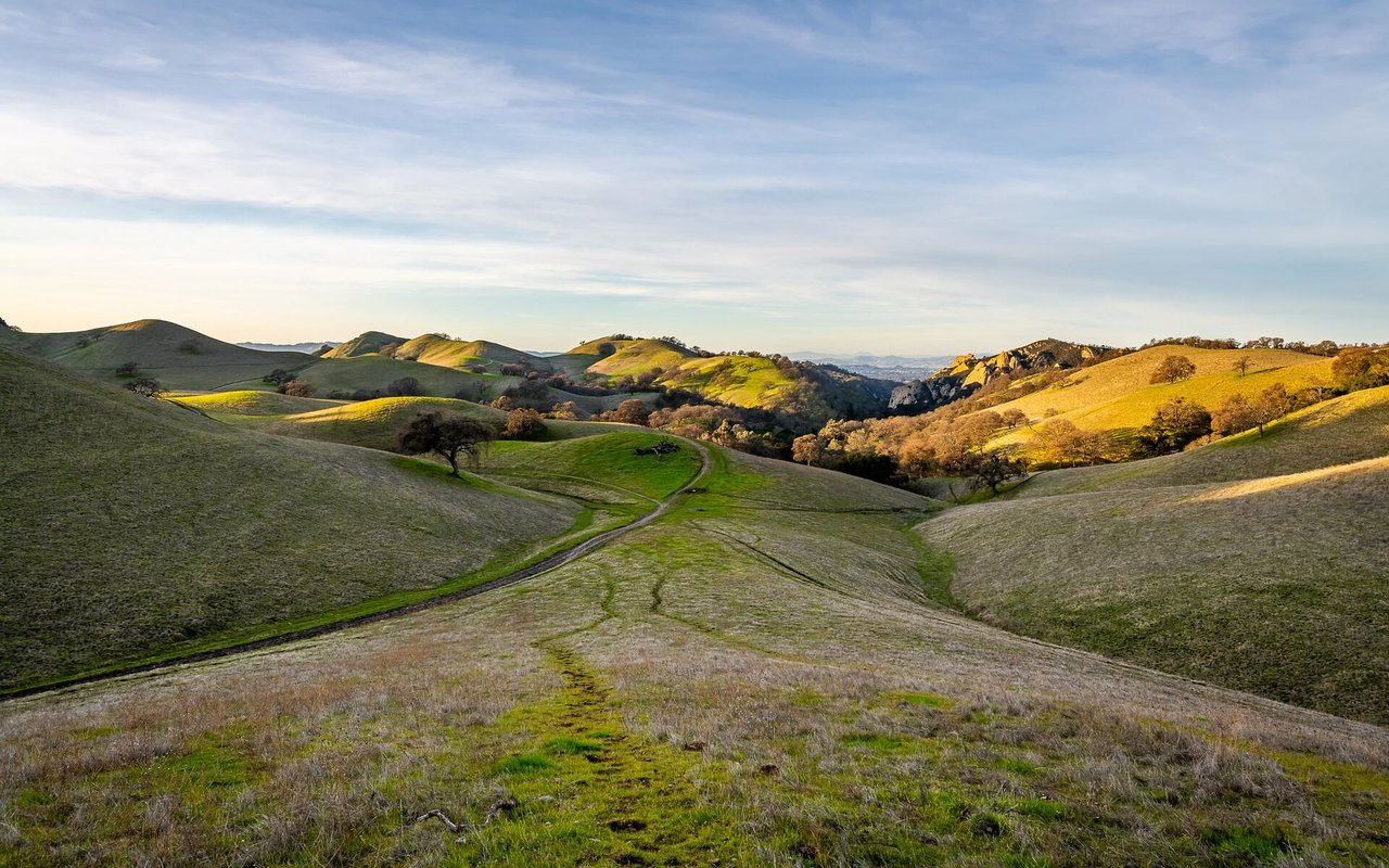 Le Domaine de Provence