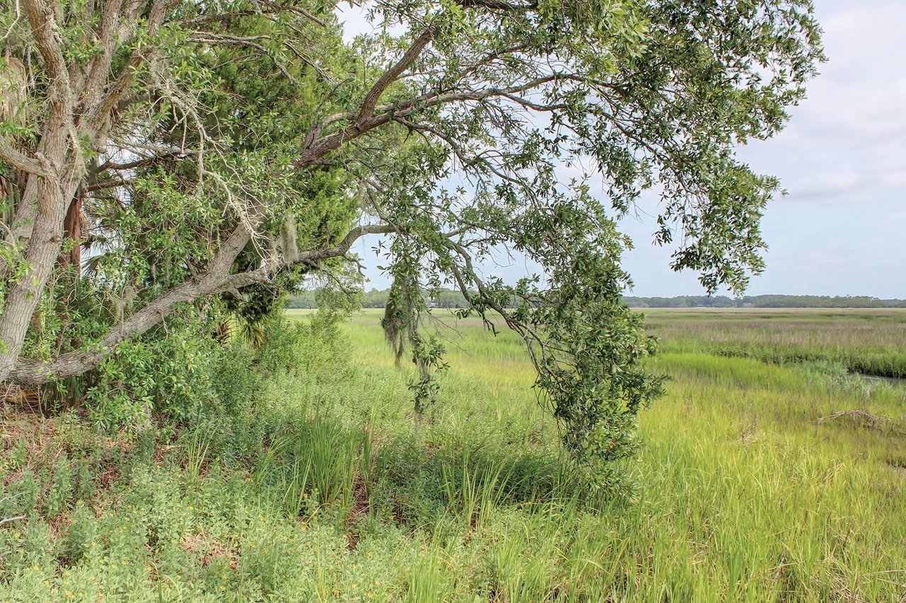 Moss Creek