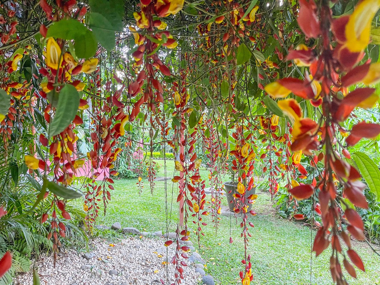 Fully Furnished Luxury Home