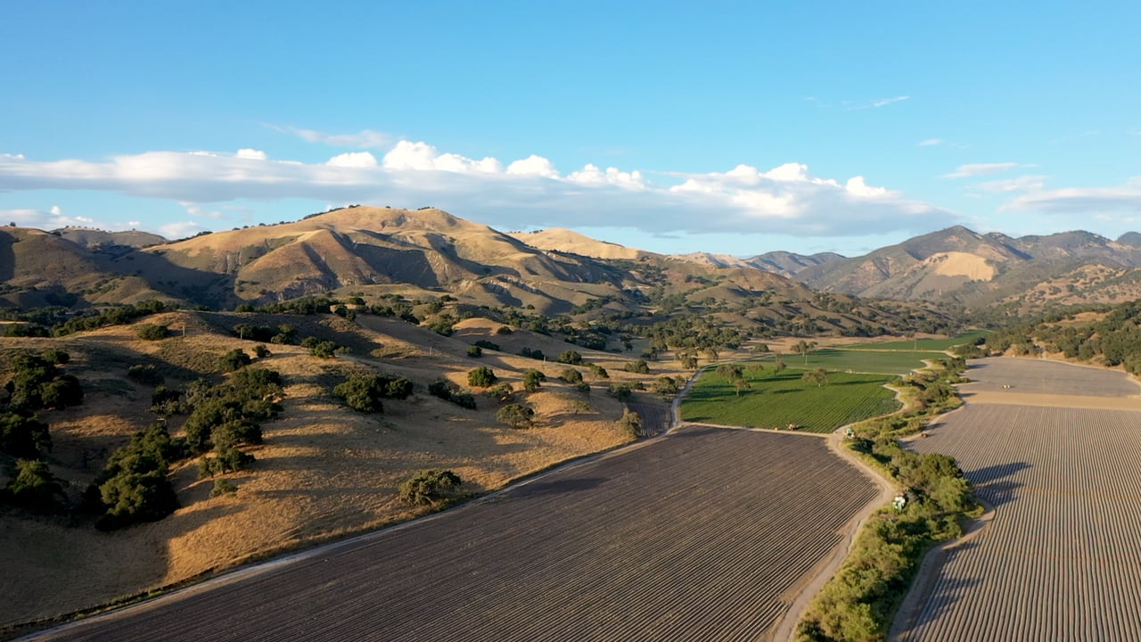 Santa Ynez Living: A True Equestrian Sanctuary