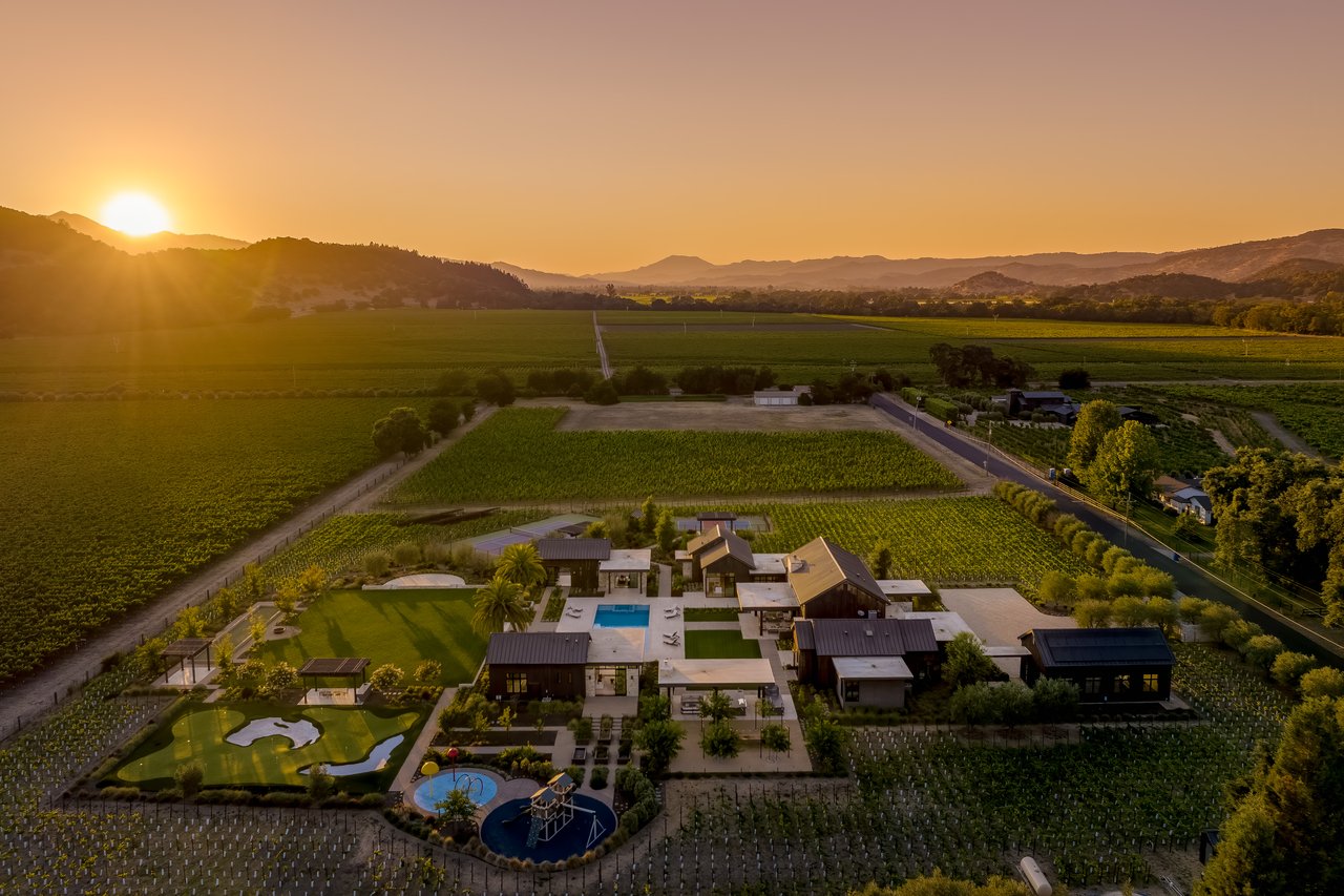 Yountville Vineyard View, Yountville