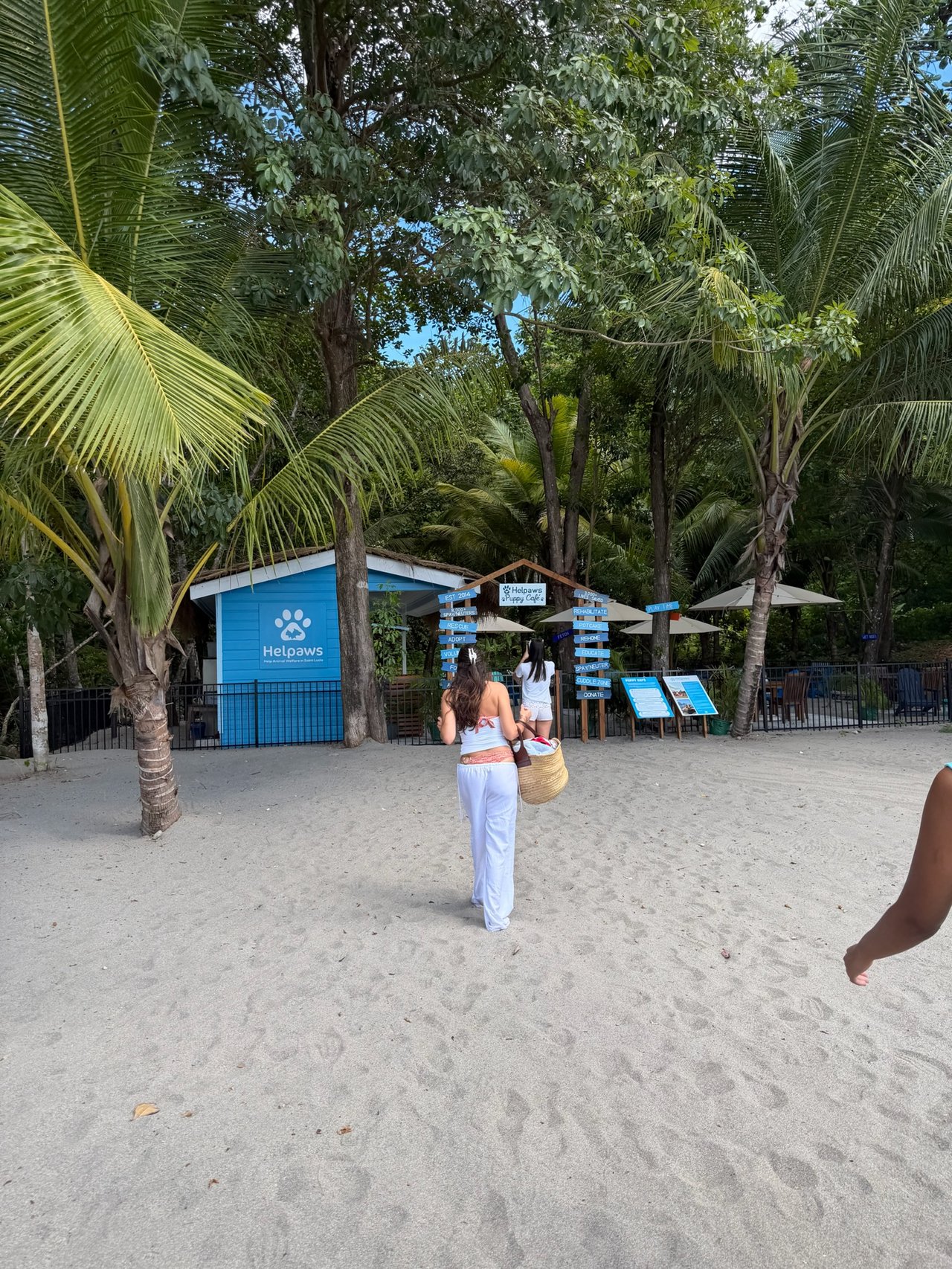A Day on the Water: From Rodney Bay Marina to Soufrière with the Christie’s St. Lucia Team!