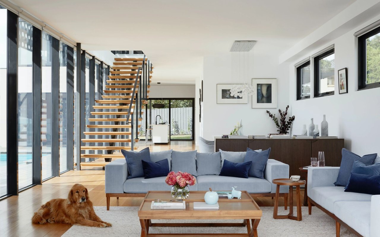 When Luxury Goes to the Dogs: Inside Los Angeles’ Most Over-the-Top Pet Amenities
