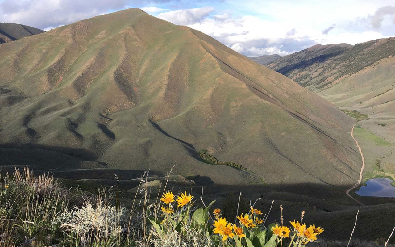 It’s Hopping In Hailey, Idaho!