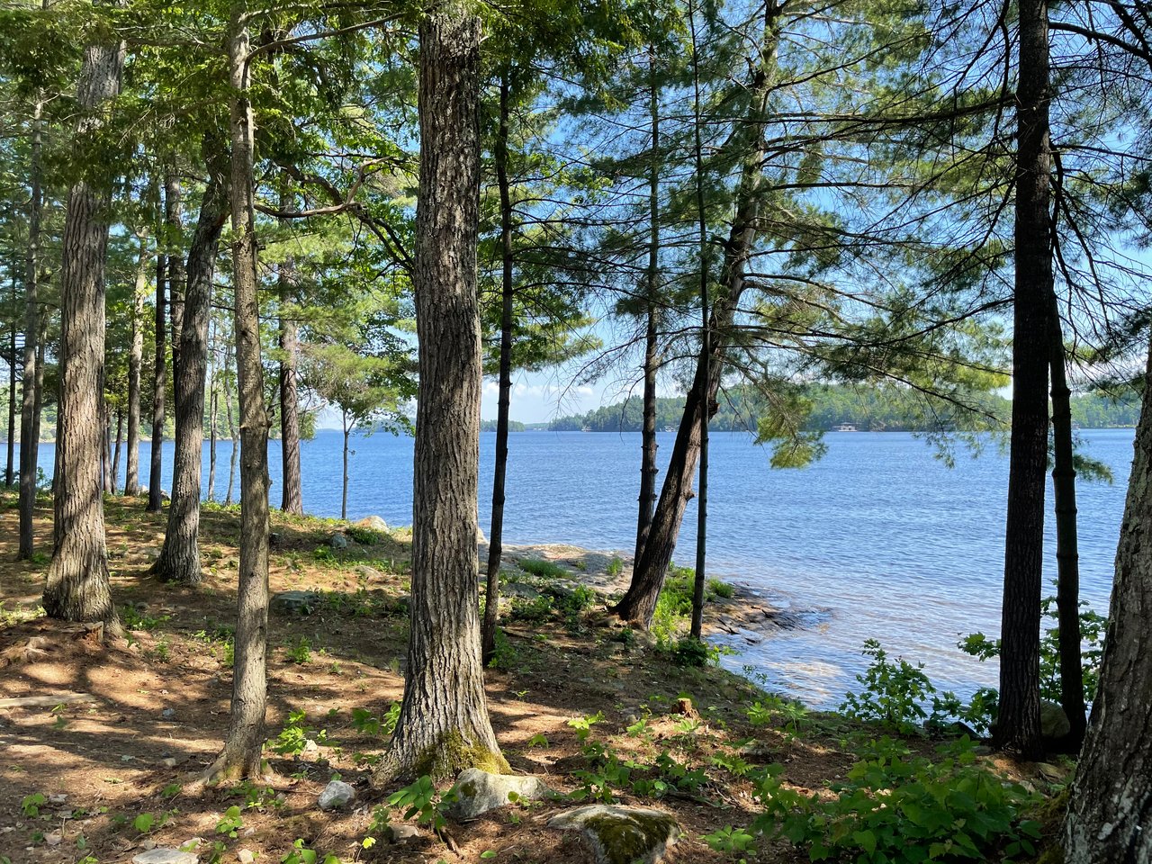 North Lake Muskoka*