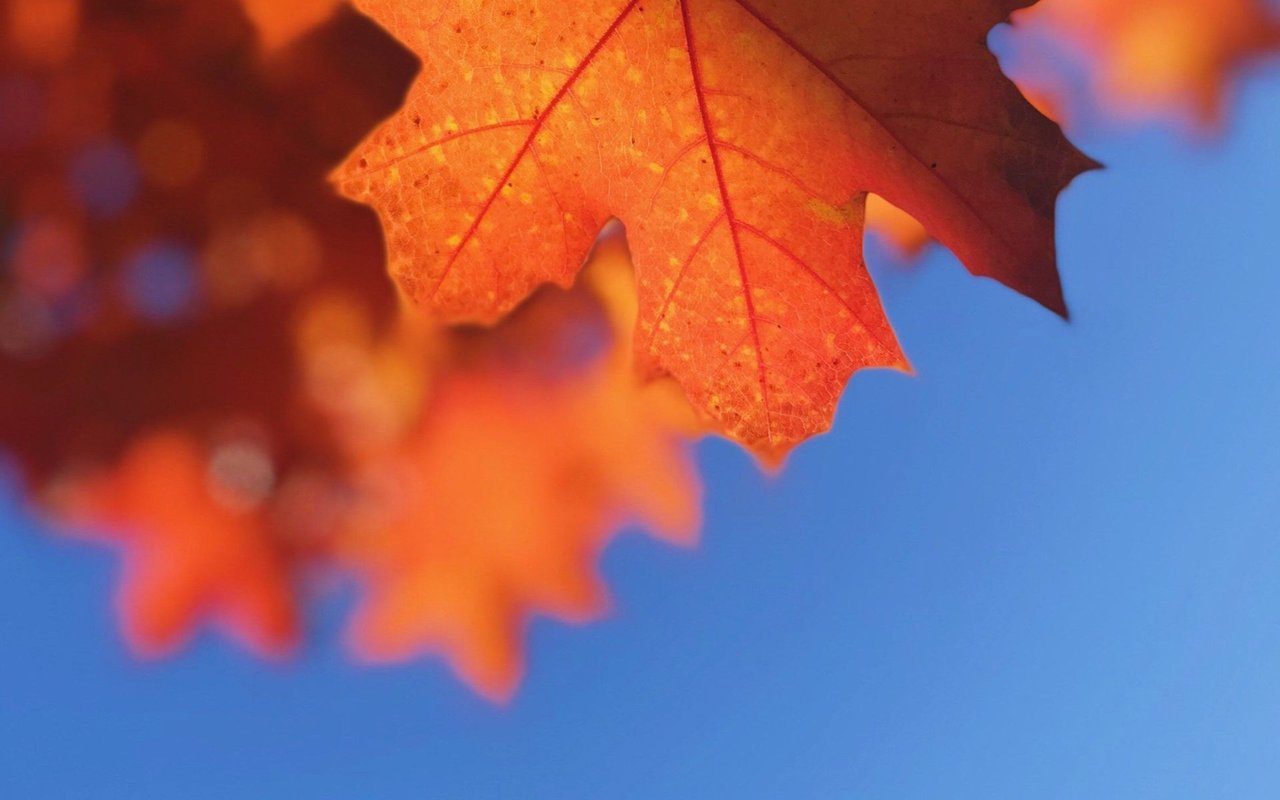 10 Ways to Make Your Fall Open House Extra-Cozy