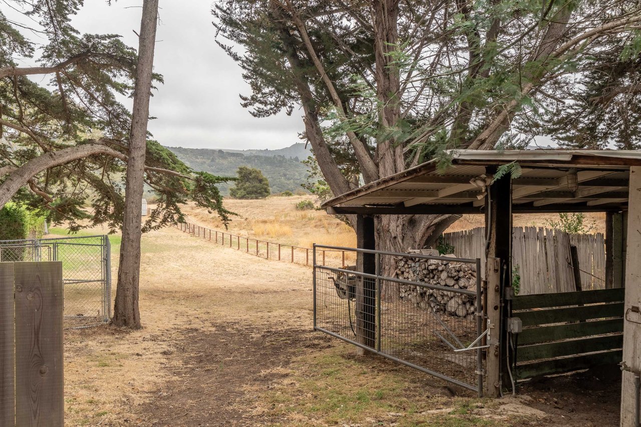 6965 Carmel Valley Road
