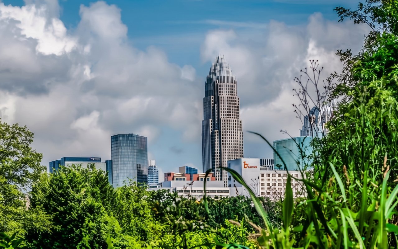 10 Must-Try Summer Activities in Charlotte
