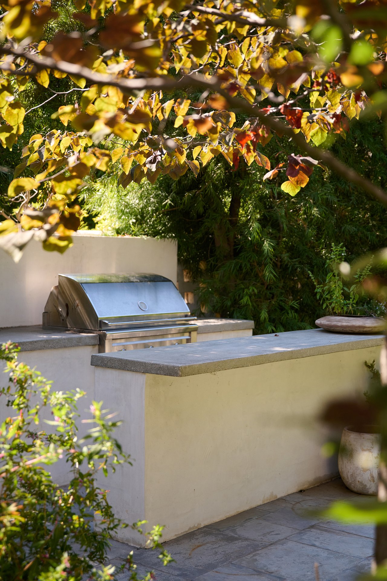 10463 Le Conte Ave, Westwood