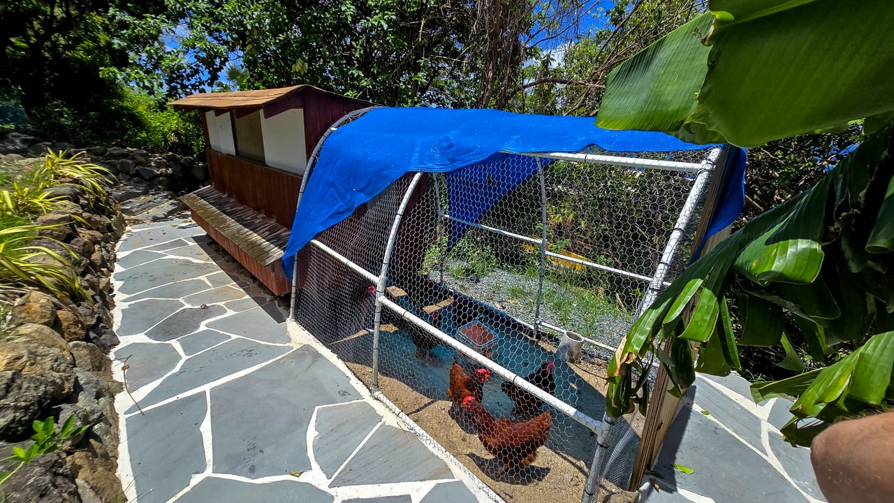 3 LA QUINTA MELONES BEACH BARRIO FLAMENCO