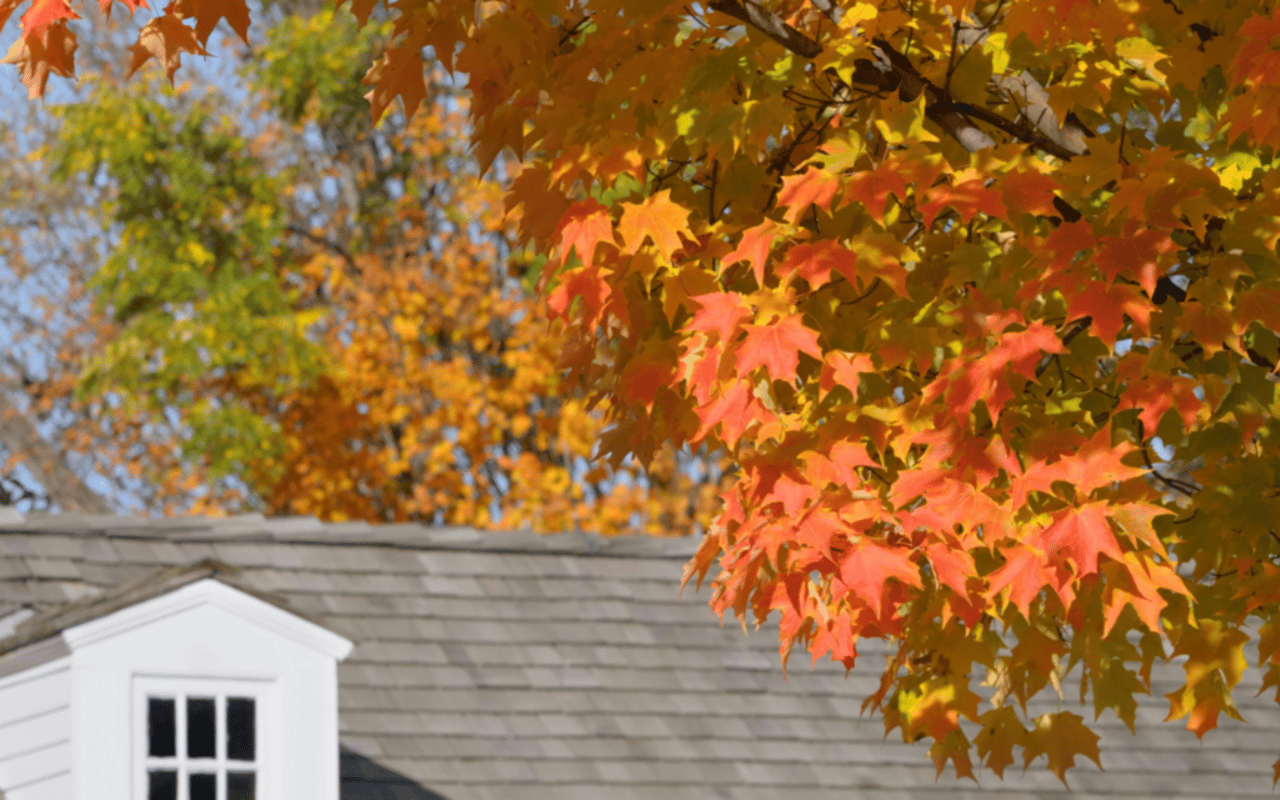 Autumn Home Maintenance Tips