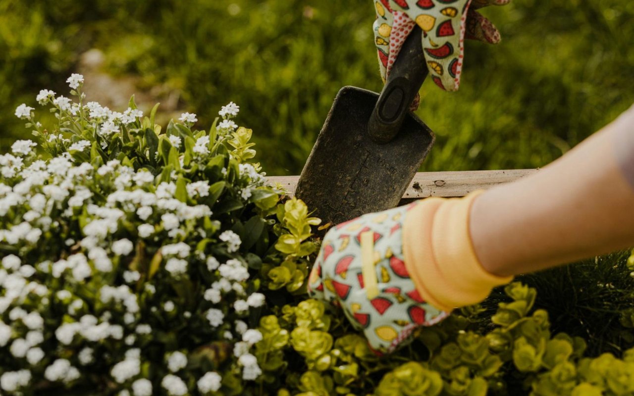 The Role of Landscaping in Boosting Your Home's Aesthetic Appeal in Silver Spring, MD