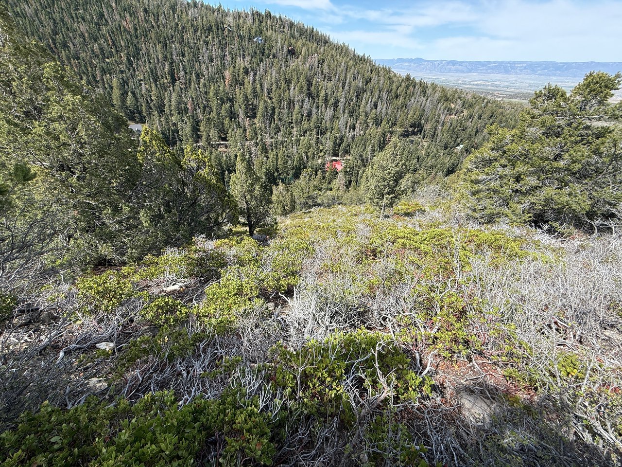 Sanpete County Cabin Lot