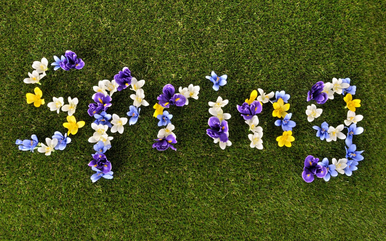 Spring Training: 25 Ideas for an Epic Season in the Capital Region