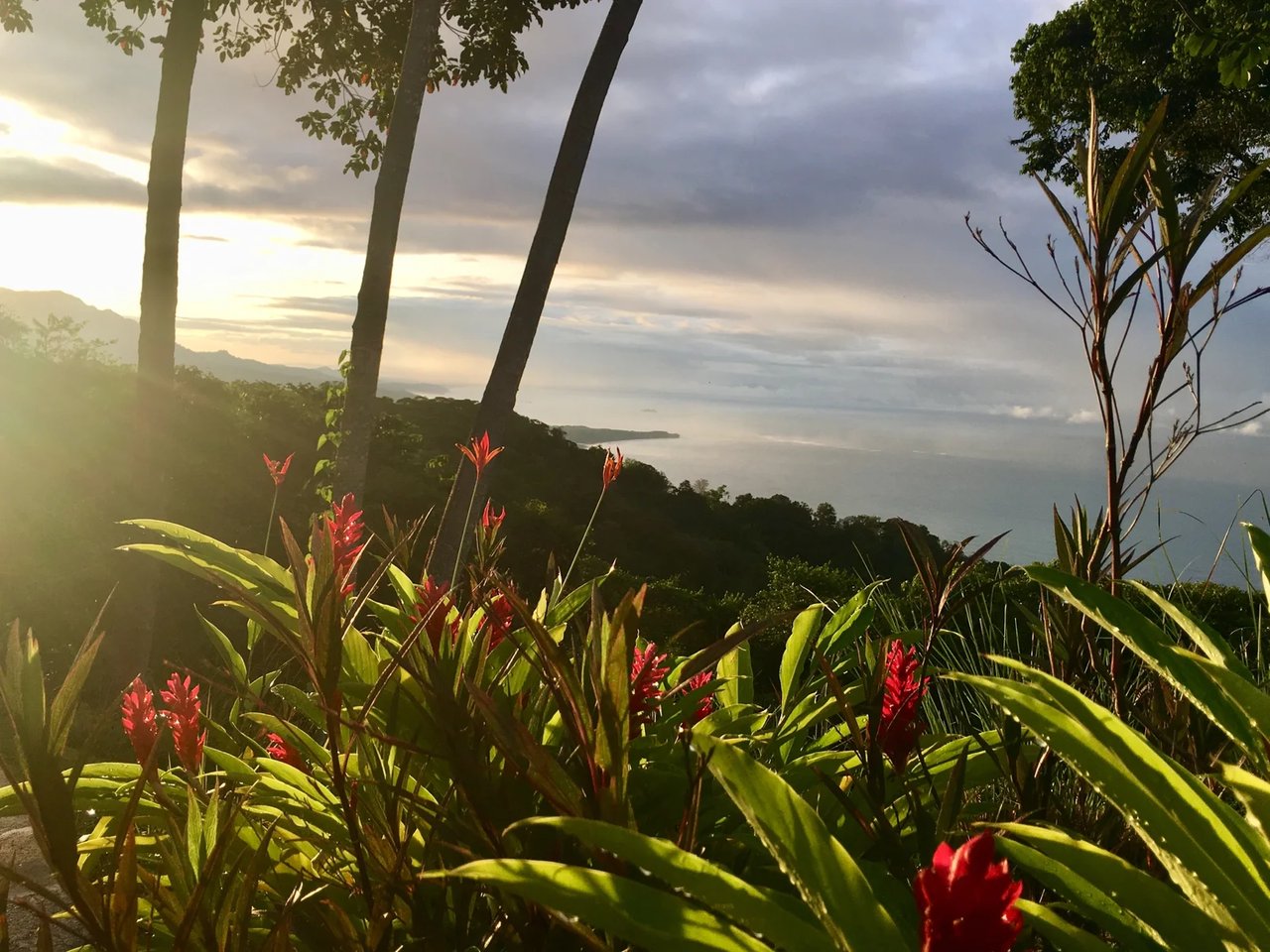 2 ACRES – 2 Bedroom Whales Tale Ocean View Home In Costa Verde Estates Gated Community!!!