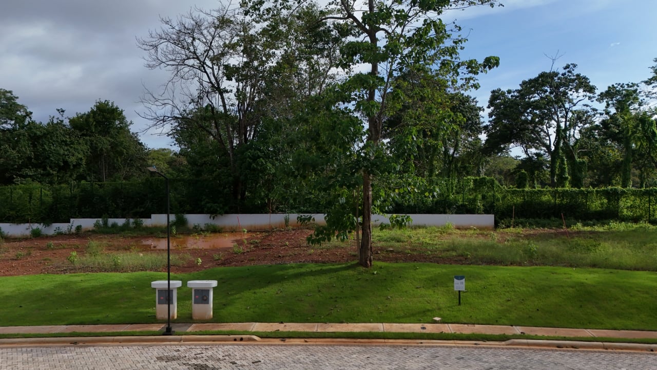 Gated Community Lots Walking Distance to Avellanas