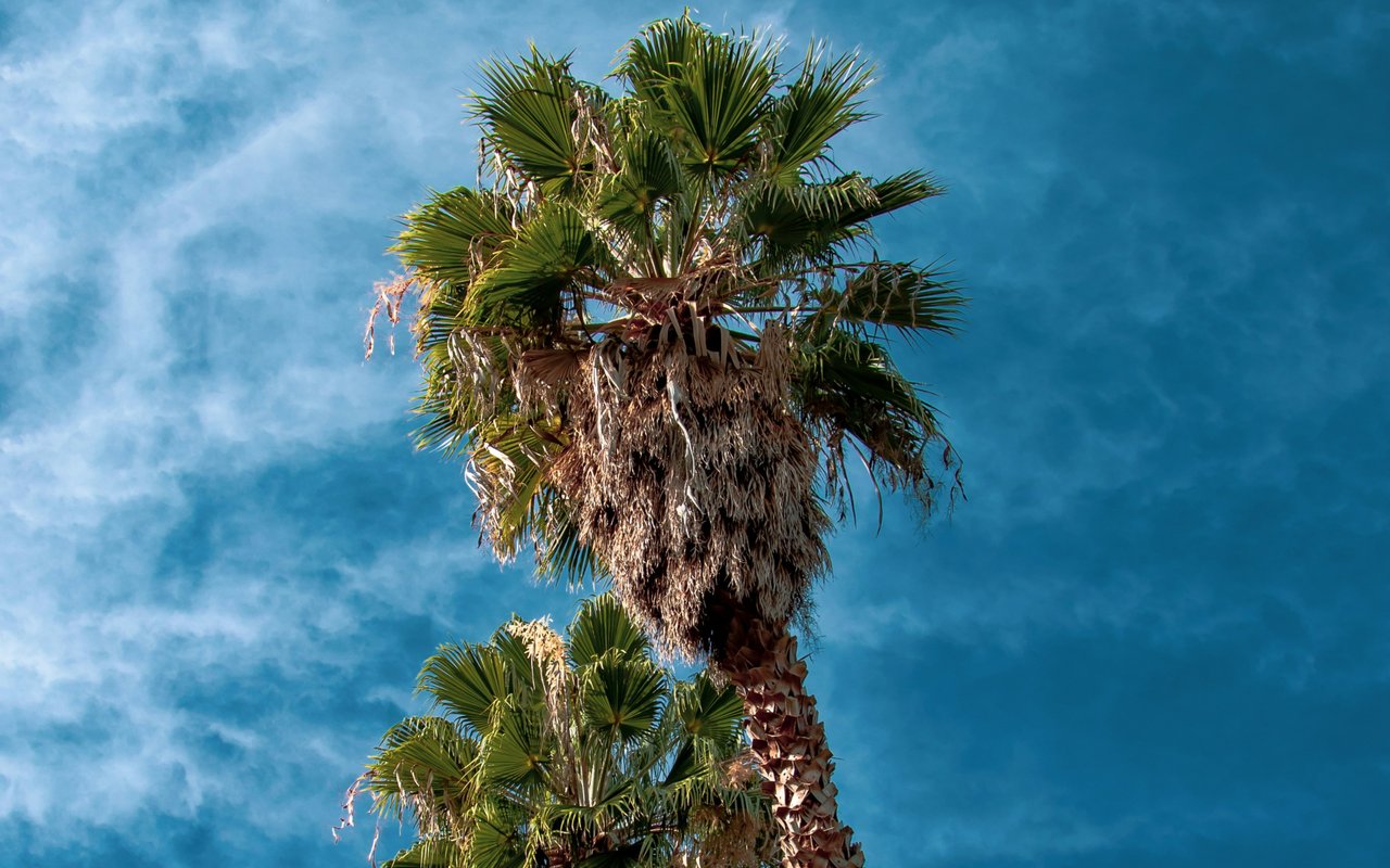 Escondido
