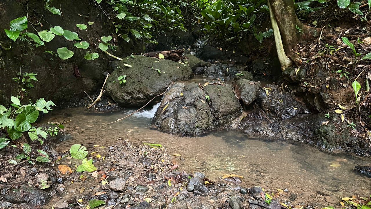 Unique property with creek and waterfall in lush jungle