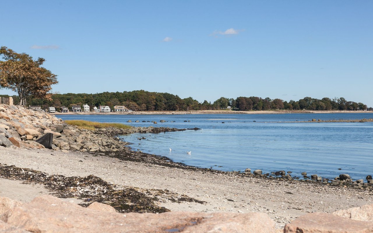 Saugatuck Shores