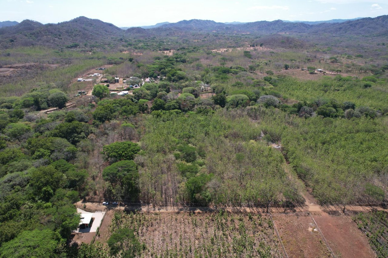 Flat Mixed-Use Land for Sale | Lot #7: Development Opportunity Near Avellanas
