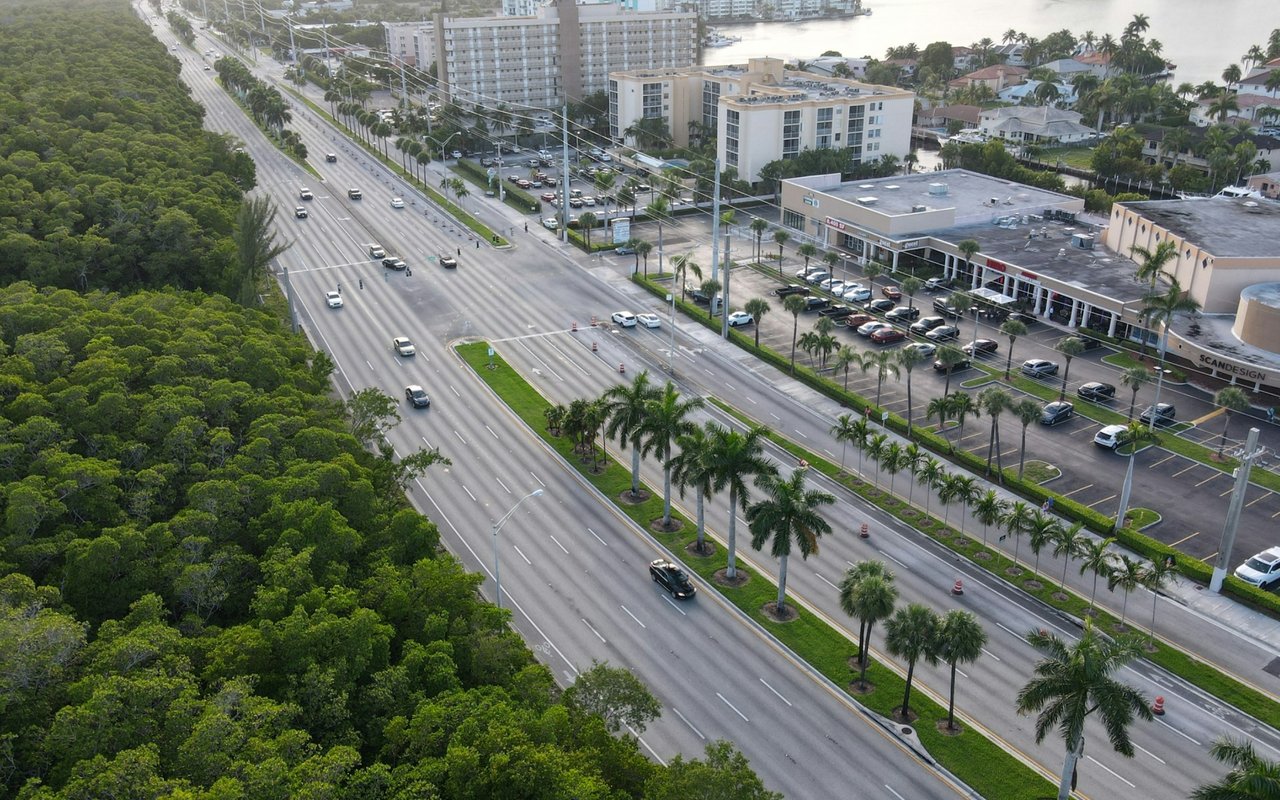 Aerial view of North Miami Beach, showing a palm-lined road beside shops, apartment buildings, and dense greenery.