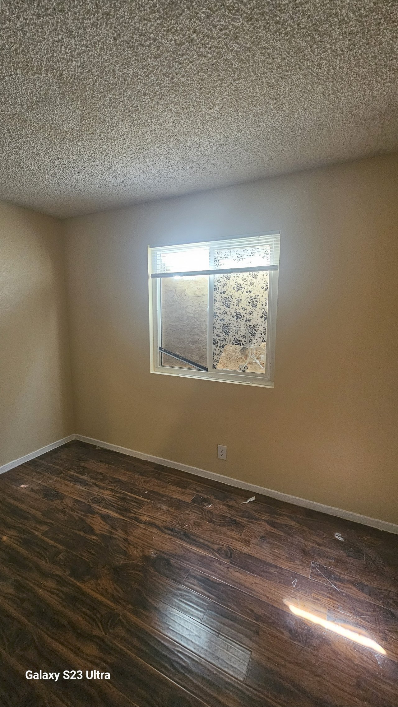 184 Judy Court #B